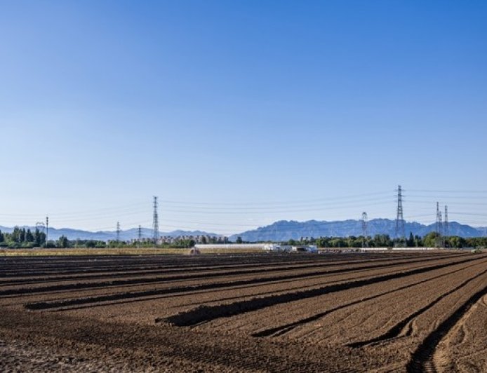 中央一号文件解读｜严防“大棚房”问题反弹回潮，常态化整治高压不减