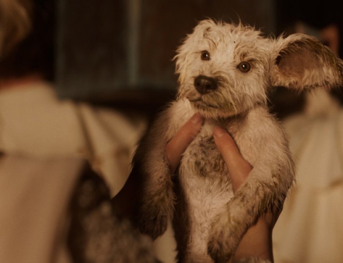 DCU 新作《超级少女》首曝中字超级碗预告，“超狗”小氪回归