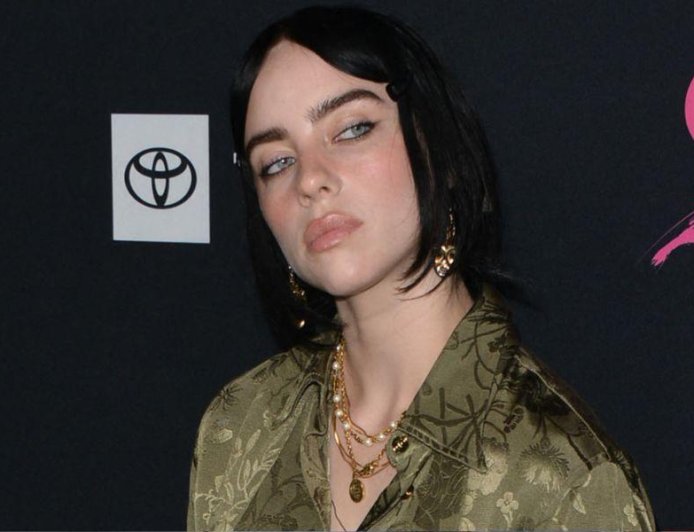 Billie Eilish Gets Brutally Ridiculed By Bill Maher Over 'Stolen Land' Remark: 'You Don't Know Things'