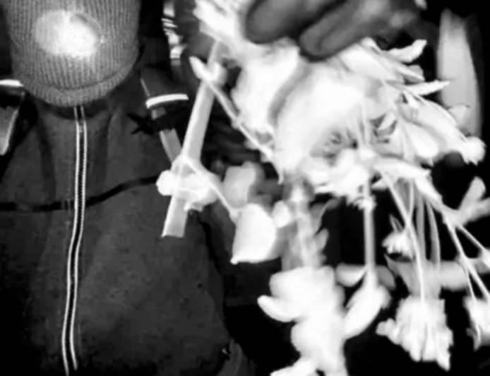 Retired Phoenix Sergeant Breaks Down New Photo Clues in Nancy Guthrie Case