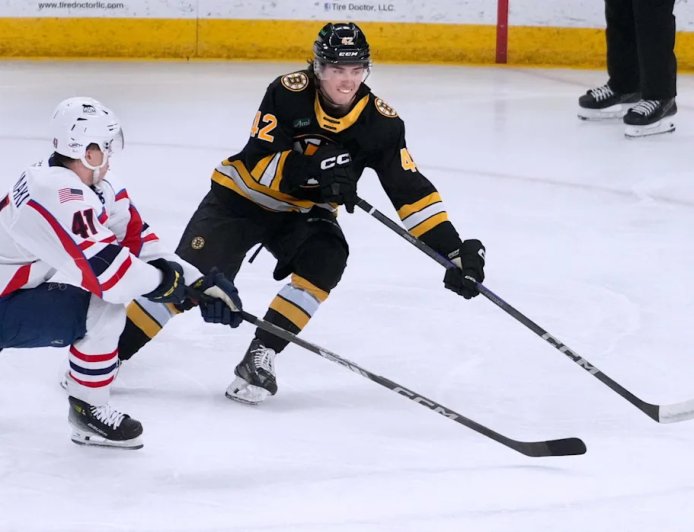 St. Louis Blues Weekly Prospect Report (Feb. 15)