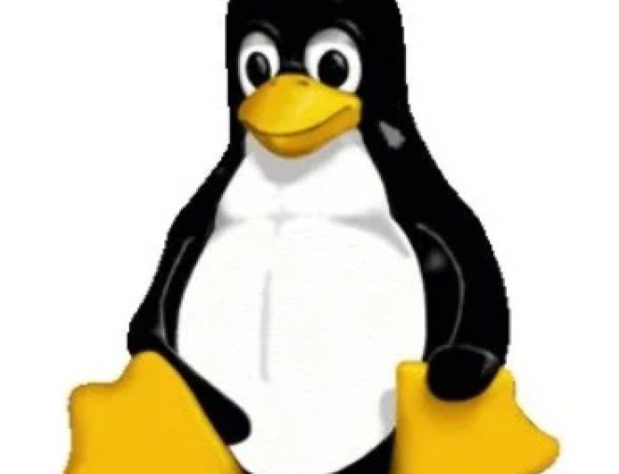 Linux 7.0 将支持快速替换开机企鹅 Logo，增强微软 exFAT 文件系统兼容性