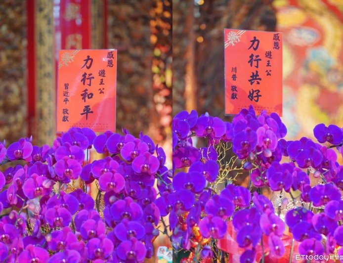 遊學太子爺春節駐駕奇觀！川、習「跨海獻花」 專家曝幕後真相