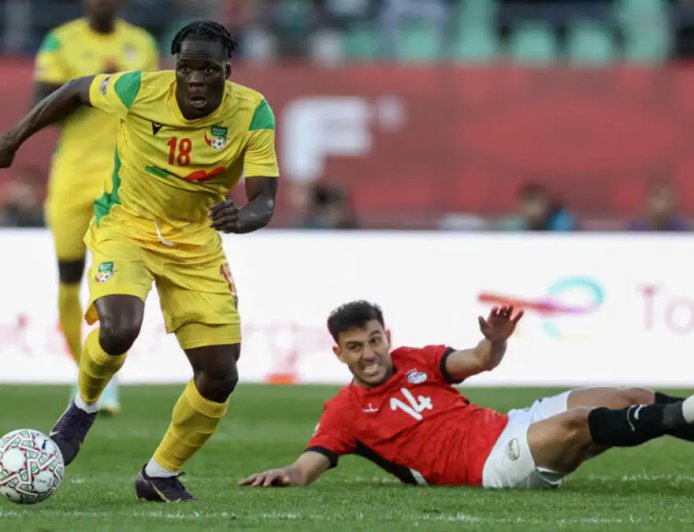 The Cheetahs to face Palestine and Guinea in March