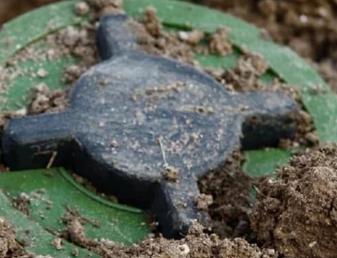 波兰媒体：波兰将正式退出《渥太华禁雷公约》