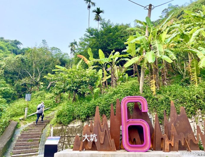 迎馬年走春步步高升　大坑步道成台中熱門首選