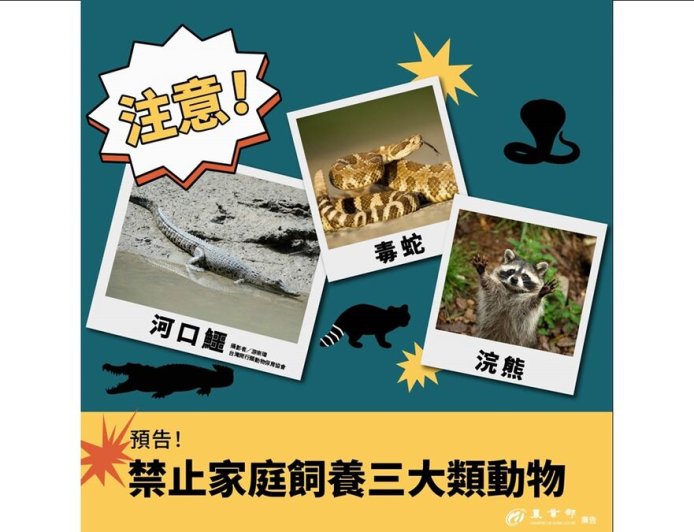 特寵禁養2／名單縮減至641種！農業部急滅火：現有飼主可養到終老