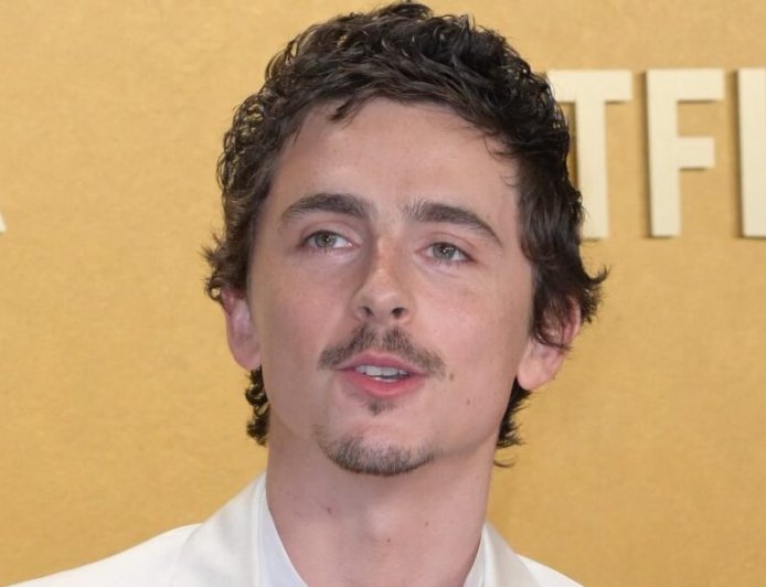 Timothée Chalamet Reminded Of His Origin Amid Performing Arts Controversy