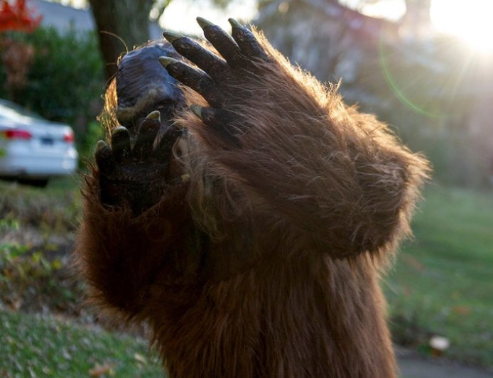 Six reported Bigfoot sightings in northeast Ohio within four days spark cryptid 'flap' speculation