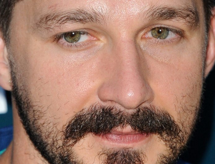 Shia LaBeouf Spotted Looking Cozy With Girlfriend Days After Heated Incident