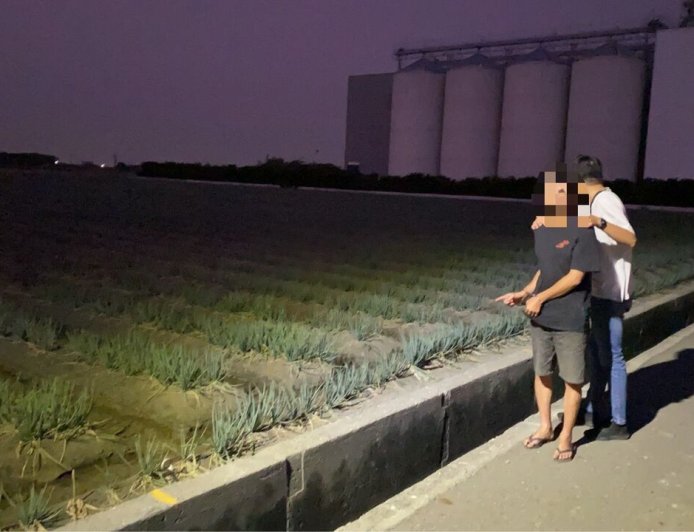 把蔥田當提款機！19次摸黑狂割1000公斤變現　彰化男下場曝