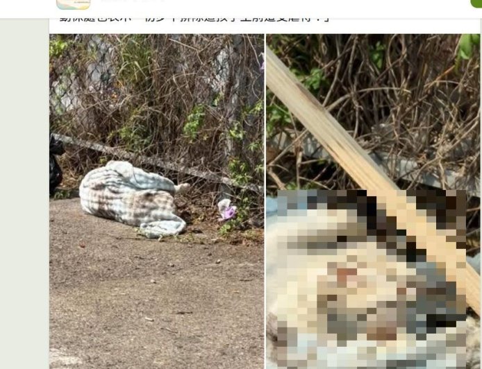 台中驚見「2歲法鬥」遭棄屍草叢　動保處找到主人：最高罰1.5萬