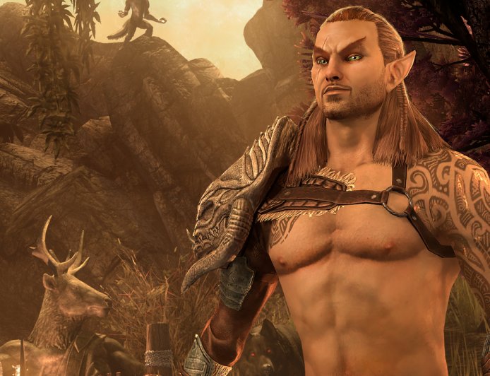 Former Elder Scrolls Online boss was told in 2001 that 'There's already enough MMOs out there, no one is ever gonna play a new one'