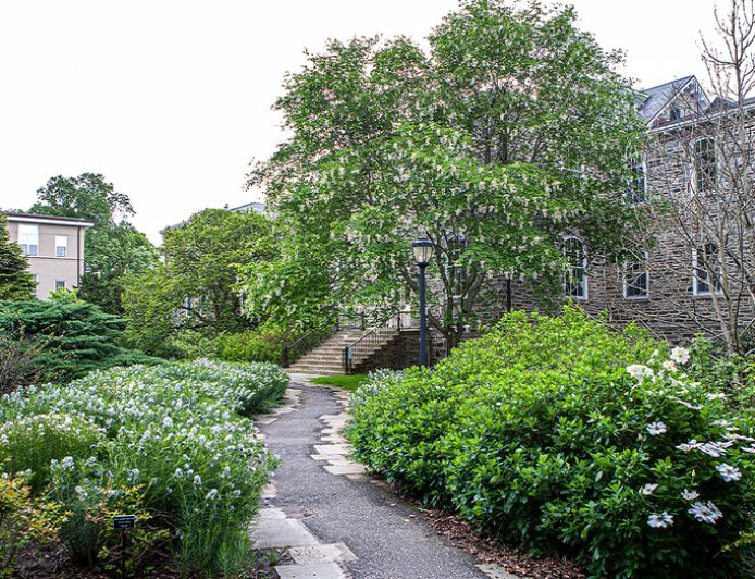 Liberal arts college drops prof’s name from campus hall after grave dig controversy