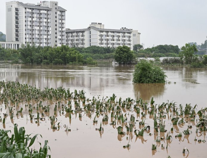 重庆特大暴雨已致9人死亡！紧急避险转移工作正在推进