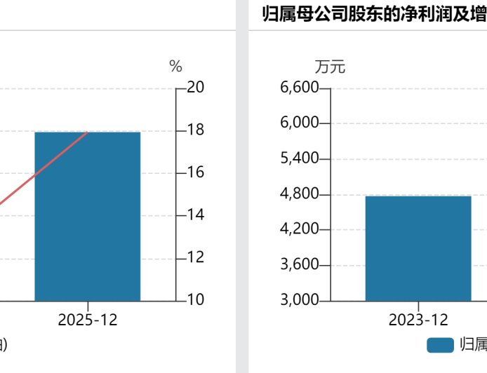 IPO雷达| 业绩“过山车”，森泰英格的高增长能否持续？